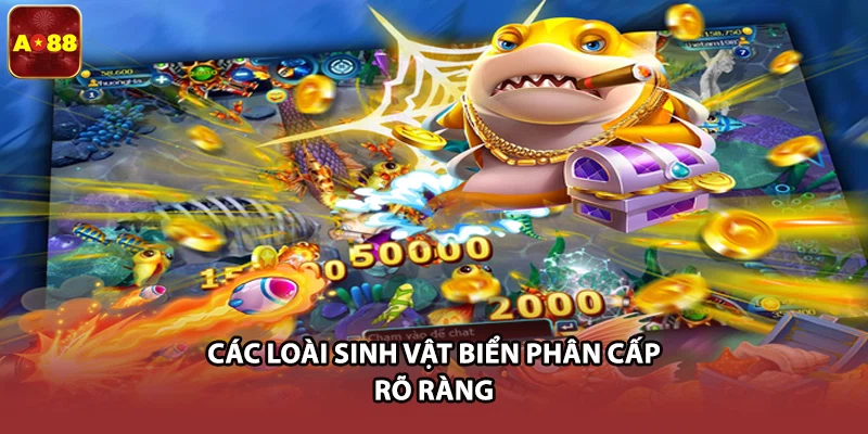 Các loài sinh vật biển phân cấp rõ ràng